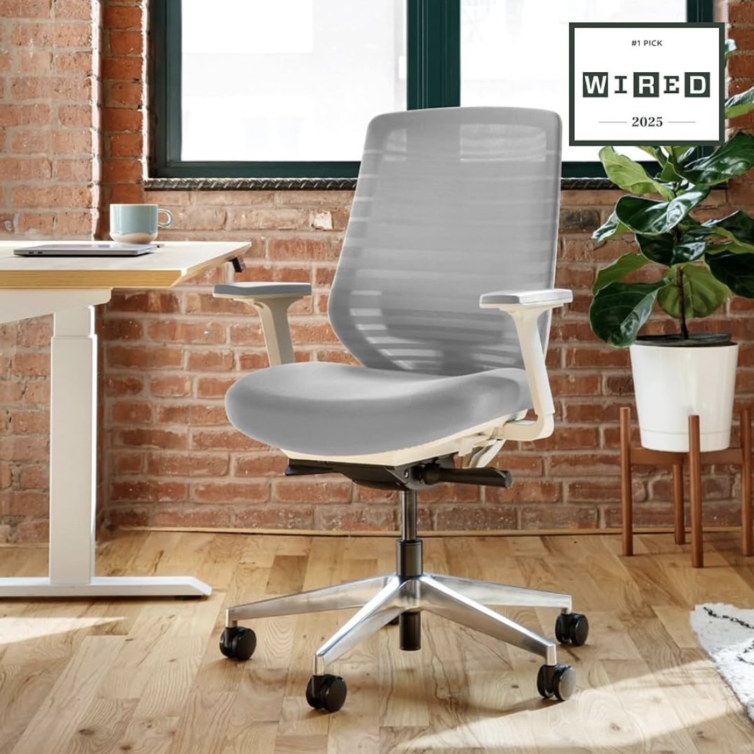 Branch Ergonomic Chair